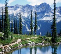 Blackcomb mountain looming in the background 